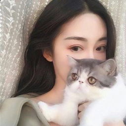 2025年新澳门资料大全截图