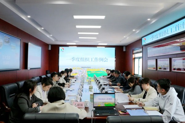 区委组织部召开一季度组织工作会议2.jpg